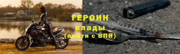 гидра Богородицк