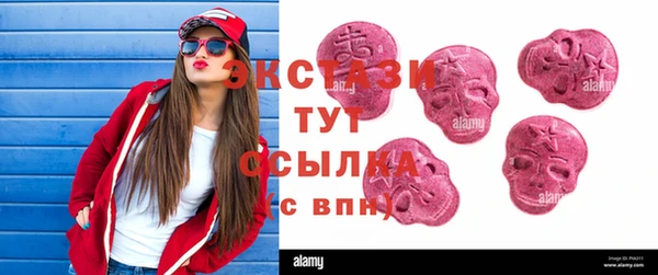 гидра Богородицк