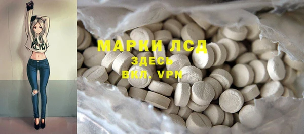 гидра Богородицк