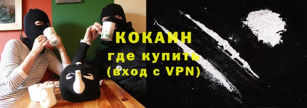 гидра Богородицк