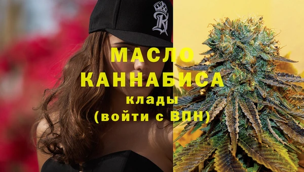 гидра Богородицк