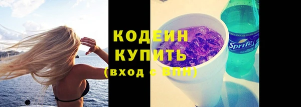 гидра Богородицк