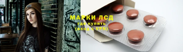 крисы Сатка
