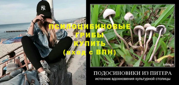 винт Сафоново