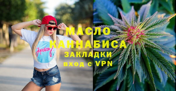 гидра Богородицк