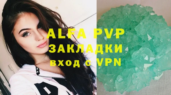 винт Богданович