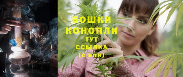 винт Бородино