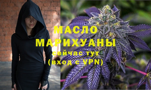 гидра Богородицк
