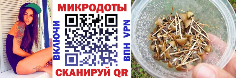 как найти   Троицк  Галлюциногенные грибы Magic Shrooms 